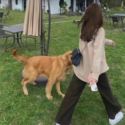 指挥家的抉择